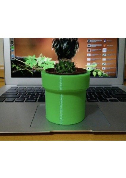 Mini-Cactus Mario Tüpü (Plastik Aparattır!!!) 3D