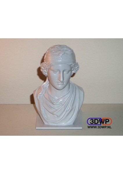 Afrodit Büstü (Heykel 3D Tarama) (Sadece Plastik Aparattır!!!) 3D fiyatları