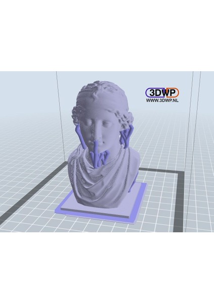 Afrodit Büstü (Heykel 3D Tarama) (Sadece Plastik Aparattır!!!) 3D modelleri