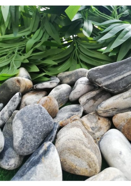 Siyah Beyaz Çizgili Dolomit Taş 4 kg 2,5-4 cm Bahçe ve Dekoratif Taş