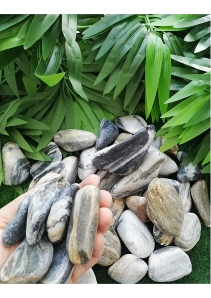 Siyah Beyaz Çizgili Dolomit Taş 4 kg 2,5-4 cm Bahçe ve Dekoratif Taş fiyatları