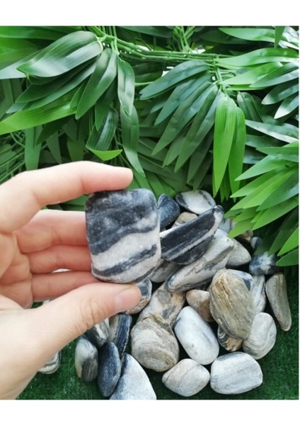 Siyah Beyaz Çizgili Dolomit Taş 4 kg 2,5-4 cm Bahçe ve Dekoratif Taş fırsatları