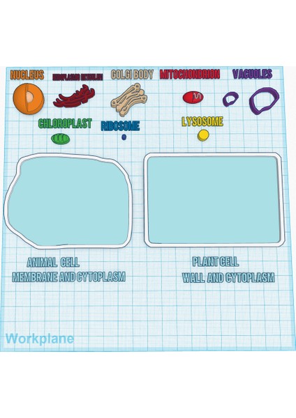 Hayvan ve Bitki Hücresi Inşaat Kiti (Plastik Aparattır!!!) 3D fırsatları