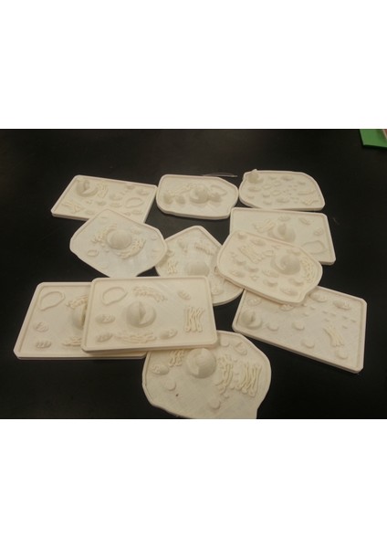 Hayvan ve Bitki Hücresi Inşaat Kiti (Plastik Aparattır!!!) 3D indirimleri