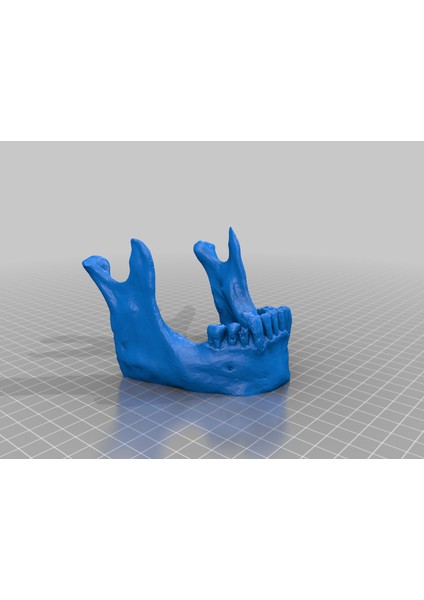 Kafatası Çenesi Telefon Tablet Kartvizit Standı (Sadece Plastik Aparattır!!!) 3D
