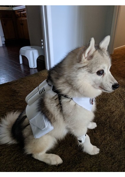 Biker Izci Köpek Zırhı (Plastik Aparattır!!!) 3D