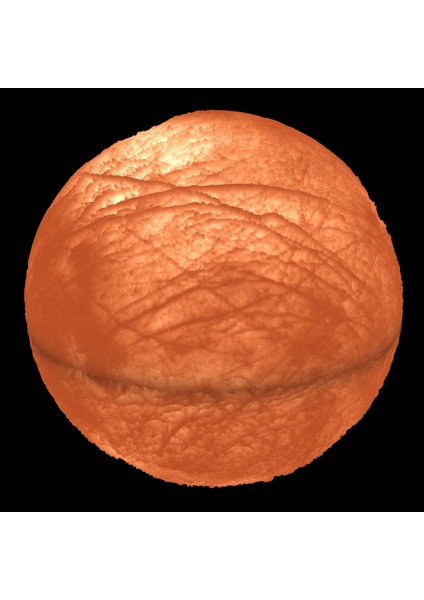 Europa Lambası (Sadece Plastik Aparattır!!!) 3D fırsatları