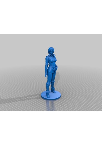 Triss - The Witcher / 20CM / 3D Stl Obj Modeli (Plastik Aparattır!!!) 3D