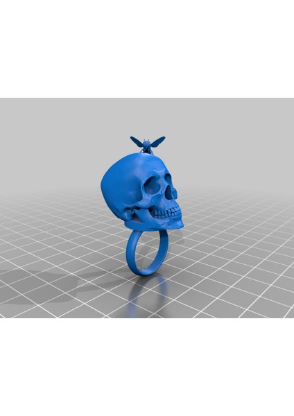Halka Kafatası Arı (Sadece Plastik Aparattır) 3D fiyatları