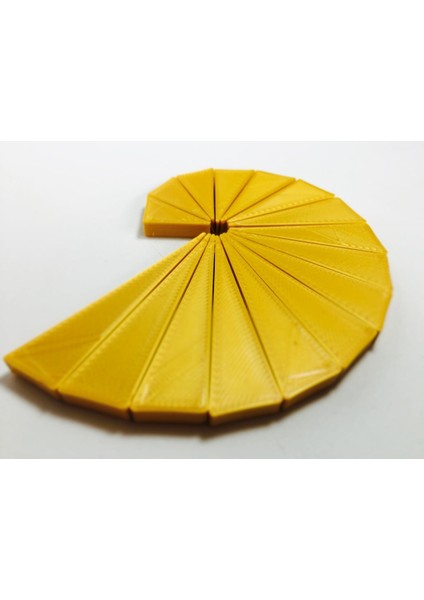 Theodorus Spiral (Sadece Plastik Aparattır) 3D