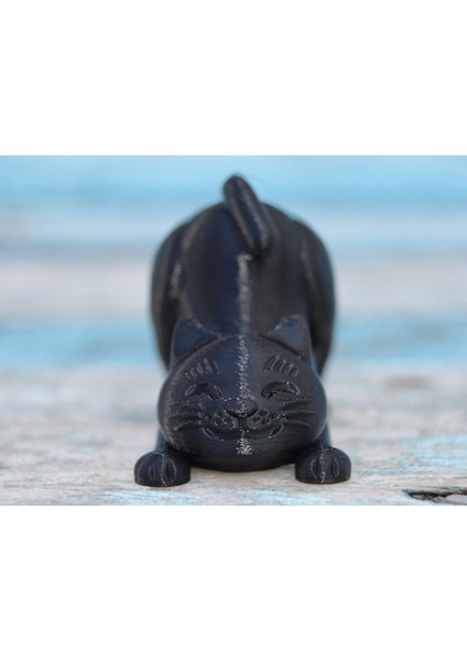 Tütsü Kedi (Sadece Plastik Aparattır!!!) 3D modelleri