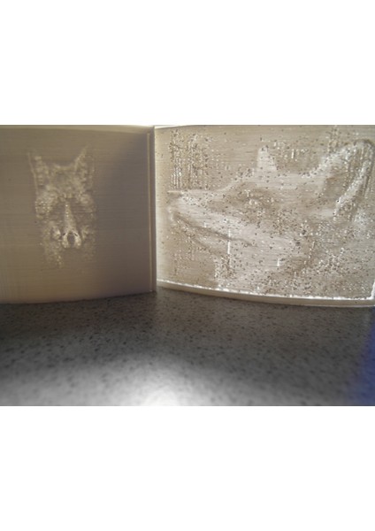 Ultimate Litofan Jeneratörü (Sadece Plastik Aparattır!!!) 3D fiyatları