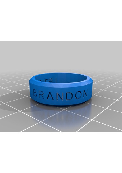 Hadi Gidelim Brandon Ring (Sadece Plastik Aparattır!!!) 3D modelleri