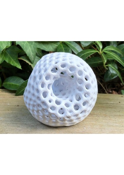 Solucan Deliği Platonik Polyhedra (Sadece Plastik Aparattır!!!) 3D modelleri