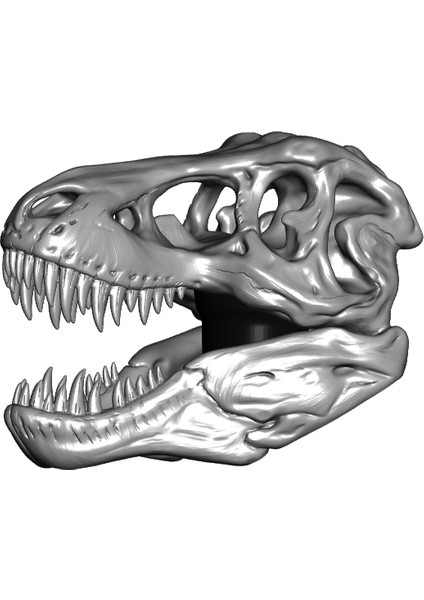T-Rex Kafatası Topper (7 $ Baston/yürüyüş Çubukları) (Sadece Plastik Aparattır!!!) 3D