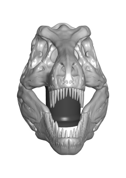 T-Rex Kafatası Topper (7 $ Baston/yürüyüş Çubukları) (Sadece Plastik Aparattır!!!) 3D modelleri