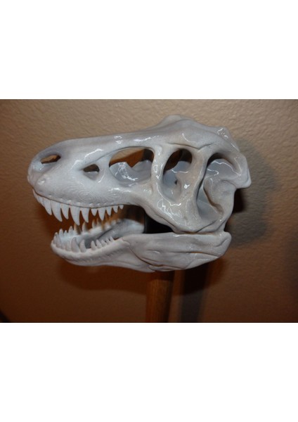 T-Rex Kafatası Topper (7 $ Baston/yürüyüş Çubukları) (Sadece Plastik Aparattır!!!) 3D indirimleri