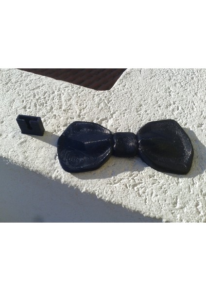 Papillon (Sadece Plastik Aparattır!!!) 3D