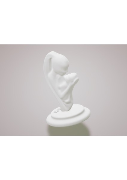 Anneler Günü Kutlu Olsun - Bebek Doğum Günü (Sadece Plastik Aparattır!!!) 3D fiyatları