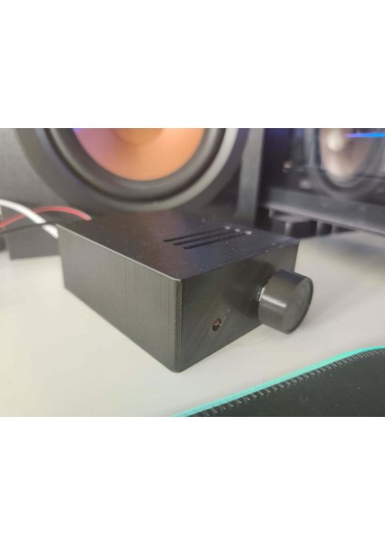 TPA3116D2 Mono Düşük Geçişli Subwoofer Için Subwoofer Amplifikatör Kasası (Sadece Plastik Aparattır) 3D