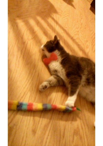 Papillon (Bow Tie) - Düz Baskı (Sadece Plastik Aparattır) 3D indirimleri