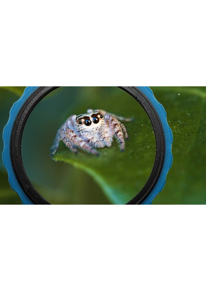 Makro Fotoğrafçılık Için Ters Lens Adaptörü (Sadece Plastik Aparattır!!!) 3D fiyatları