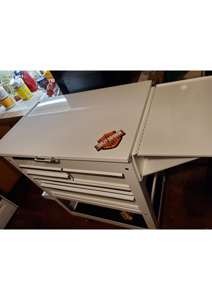 Haley Davidson Plak - Renk Aşamaları (Sadece Plastik Aparattır!!!) 3D fırsatları