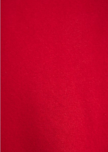 Mavi Logo Baskılı Kapüşonlu Kırmızı Sweatshirt 168334-35476