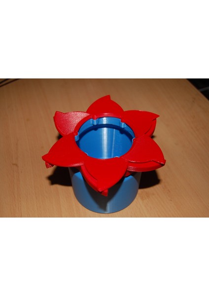 Çiçek Iris Kutusu (Plastik Aparattır!!!) 3D fiyatları