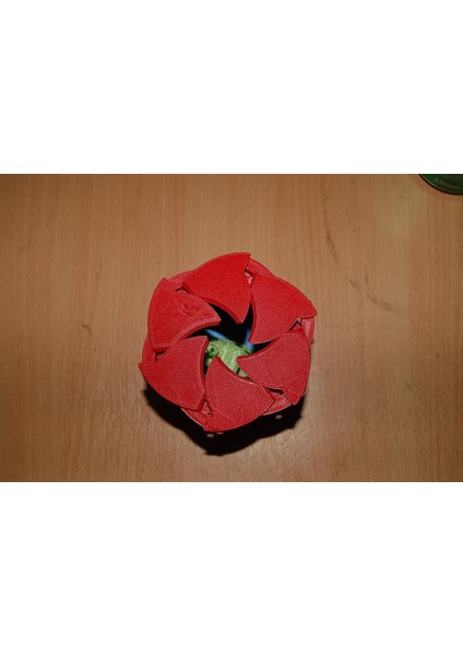 Çiçek Iris Kutusu (Plastik Aparattır!!!) 3D fırsatları