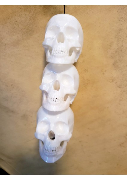 Kafatası Boncukları (Sadece Plastik Aparattır!!!) 3D fiyatları