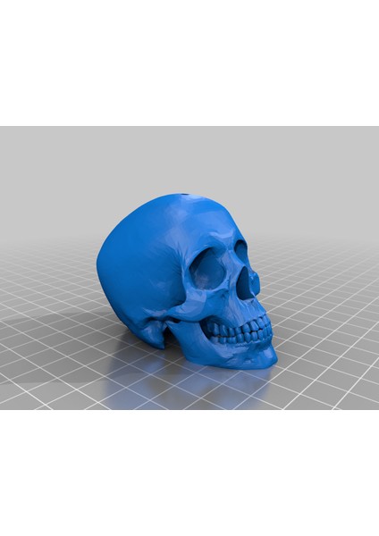 Kafatası Boncukları (Sadece Plastik Aparattır!!!) 3D modelleri