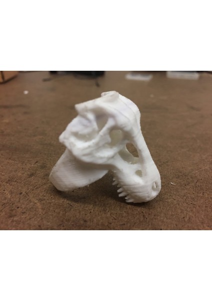 T-Rex Halkası 20.7mm Çap (Sadece Plastik Aparattır) 3D fiyatları