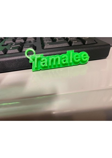 Tamalee Anahtar Yüzüğü (Sadece Plastik Aparattır!!!) 3D modelleri