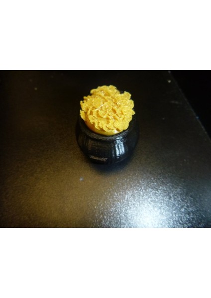 Altın Madeni Para Kap Kapsayıcısı (Sadece Plastik Aparattır!!!) 3D