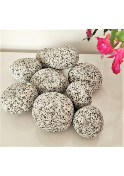 Benekli Dolomit Taşı 5 kg 6-10 cm Bahçe ve Dekorasyon Taşı modelleri