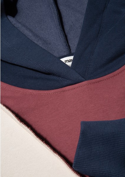 Color Block Kapüşonlu Sweatshirt 1S10170-70399