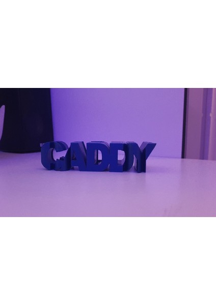 Caddy Kutsal Kitap Modeli (Sadece Plastik Aparattır!!!) 3D