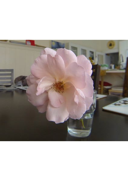 Gopro Kahraman Makro Lens Montajı (Sadece Plastik Aparattır) 3D modelleri