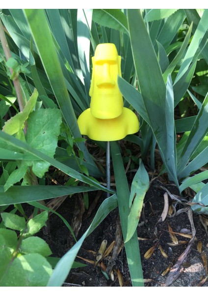 Paskalya Adası Başkanı (Sadece Plastik Aparattır!!!) 3D modelleri