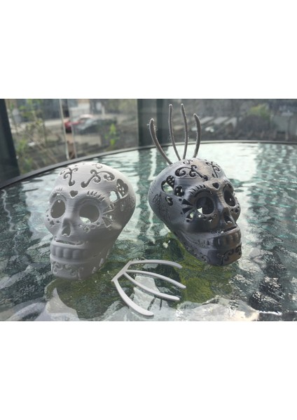 Şeker Kafatası Notu/fotoğraf Sahibi (Sadece Plastik Aparattır!!!) 3D modelleri