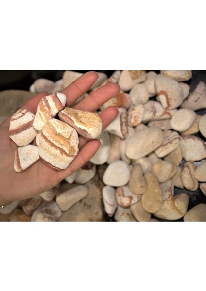 Sarı Çizgili Dolomit Taşı 2 Kg, 2,5-4 Cm, Bahçe ve Dekorasyon Taşı fiyatları