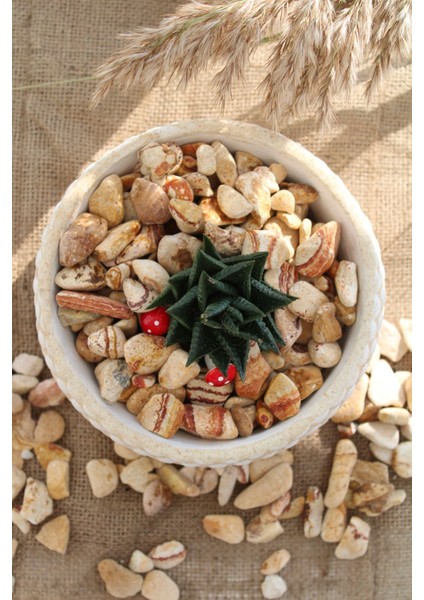 Sarı Çizgili Dolomit Taşı 6 Kg, Bahçe, Dere, Akvaryum Için Doğal Taş