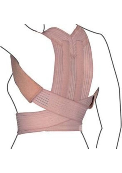 Konforlu ve Sağlıklı Sırt Desteği Için Ergonomik Sırt Korsesi fırsatları