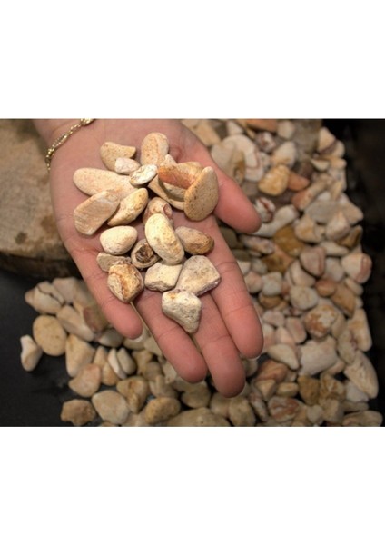 Sarı Çizgili Dolomit Taşı 4kg, 1,5-2,5cm, Bahçe Dekor ve Süs Taşı fiyatları