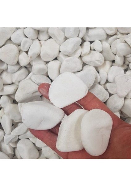 Beyaz Dolomit Taşı 1 kg 2,5-4 cm Bahçe ve Teraryum Süs Taşı modelleri