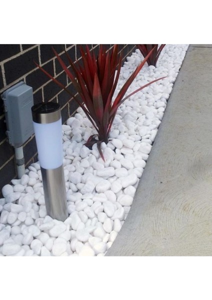 Beyaz Dolomit Taşı 1 kg 2,5-4 cm Bahçe ve Teraryum Süs Taşı fırsatları