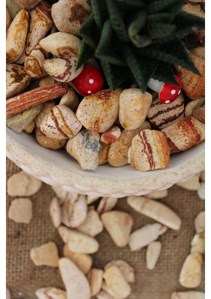 Sarı Çizgili Dolomit Taş 4 Kg, Bahçe, Dere, Akvaryum Için Uygun, 1-2 cm