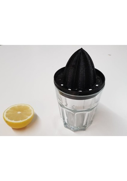 76 Ila 79MM Çapında Limon Fışkırtma (Sadece Plastik Aparattır) 3D