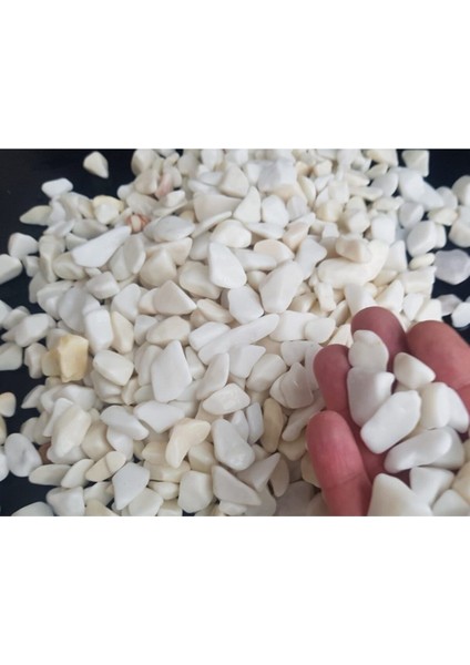 5 kg Dolomit Taşı, Dere ve Bahçe Süs Taşı, Dekoratif Çakıl ve Taş modelleri